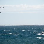 Best KiteSurfing Spot in Victoria BC - with Epic Kitesurf Land Start, DSC07330